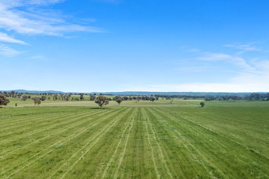 339 South Bowan Park Road, Orange NSW 2800 - photo 23