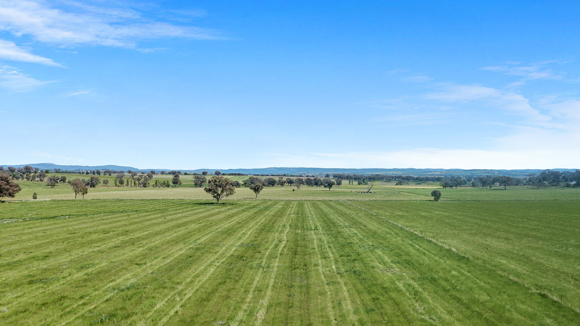 339 South Bowan Park Road, Orange NSW 2800 - photo 23