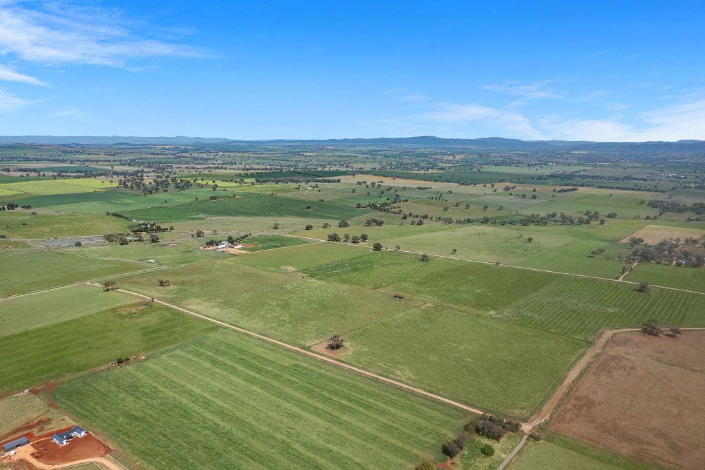 339 South Bowan Park Road, Orange NSW 2800 - photo 26