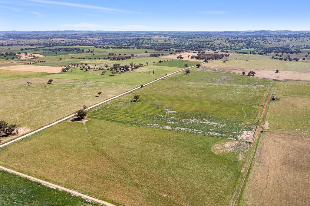 339 South Bowan Park Road, Orange NSW 2800 - photo 4