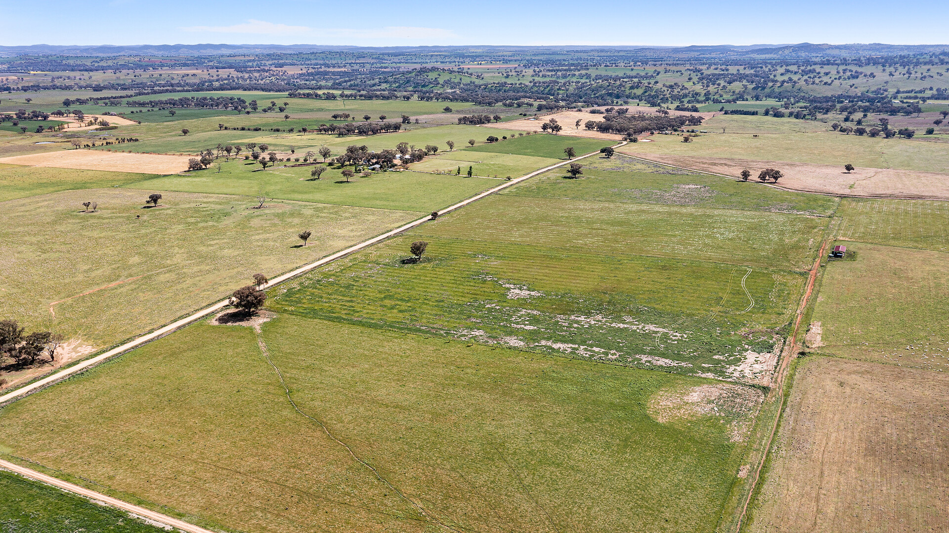 339 South Bowan Park Road, Orange NSW 2800 - photo 4