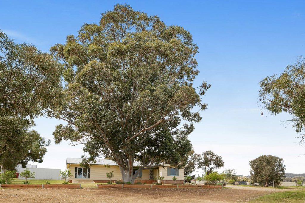 339 South Bowan Park Road, Orange NSW 2800 - photo 5