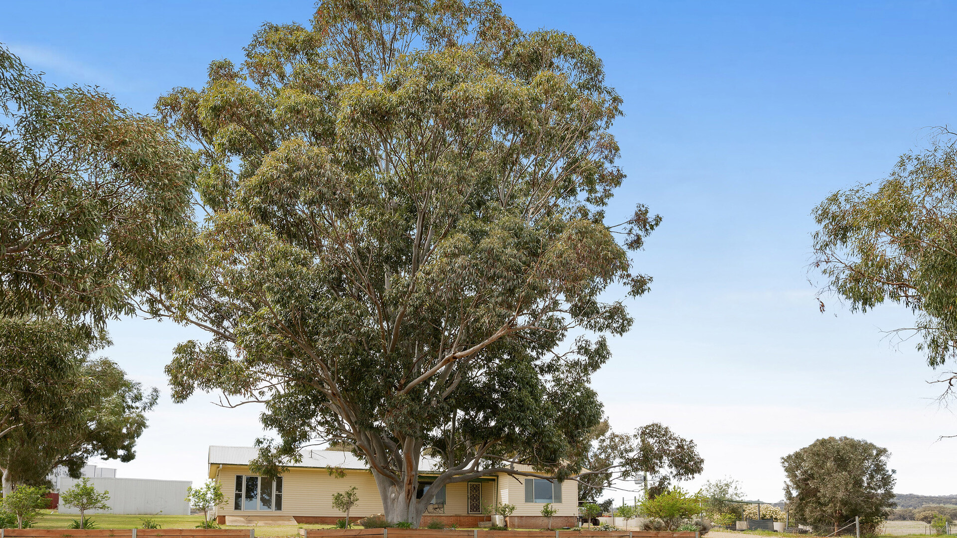 339 South Bowan Park Road, Orange NSW 2800 - photo 5
