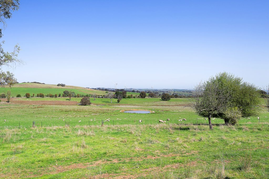 283 Wattersons Lane, Forest Reefs NSW 2798 - photo 21