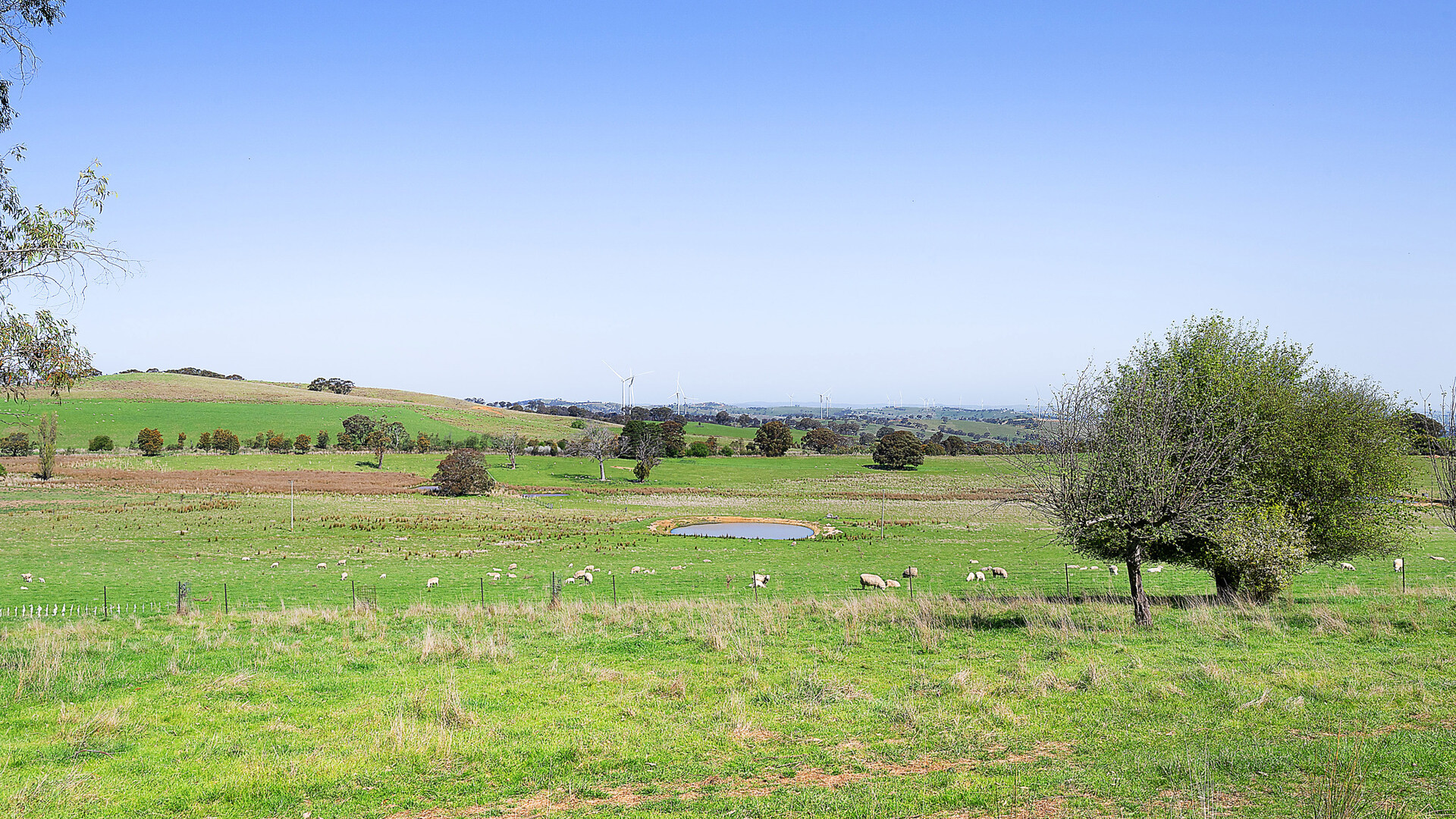 283 Wattersons Lane, Forest Reefs NSW 2798 - photo 21