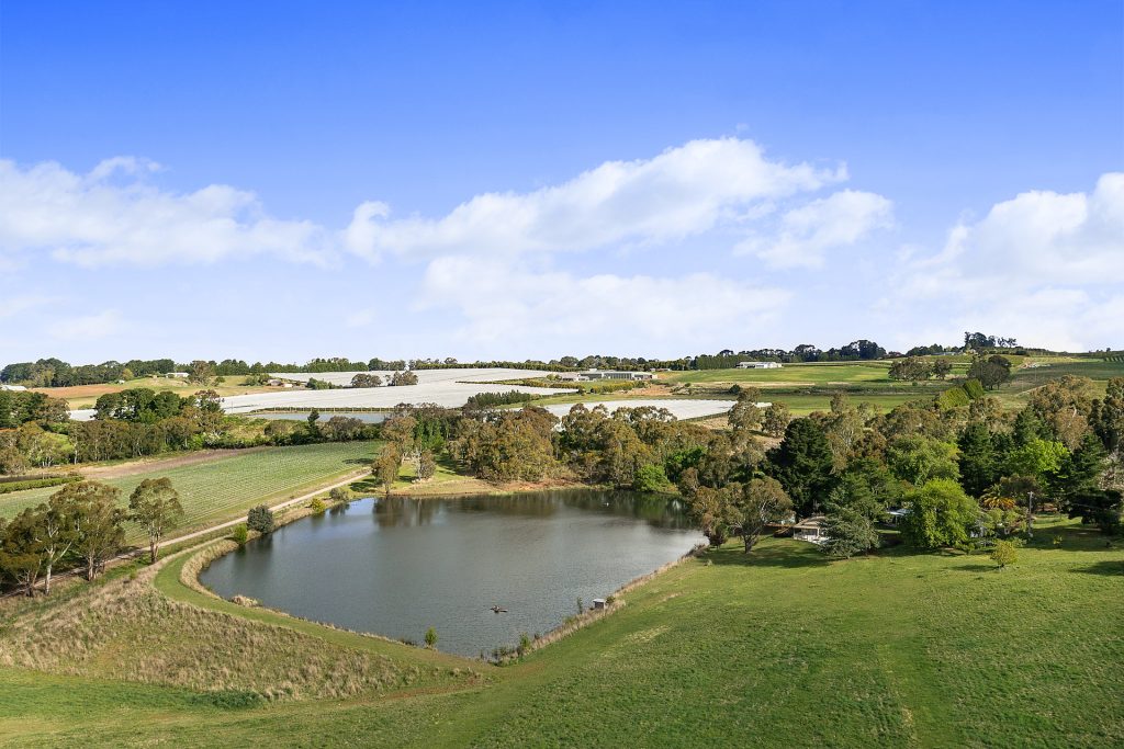 102 Wallace Lane, Orange NSW 2800 - photo 14