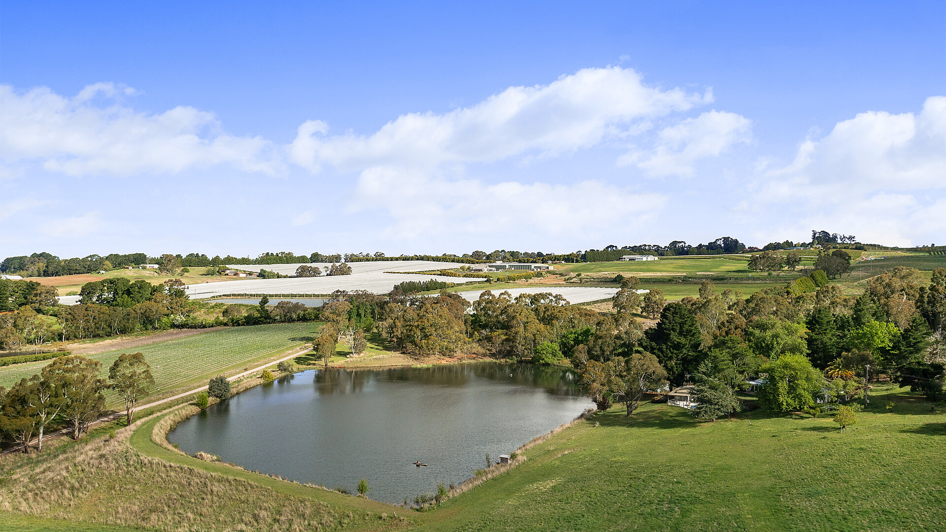 102 Wallace Lane, Orange NSW 2800 - photo 14