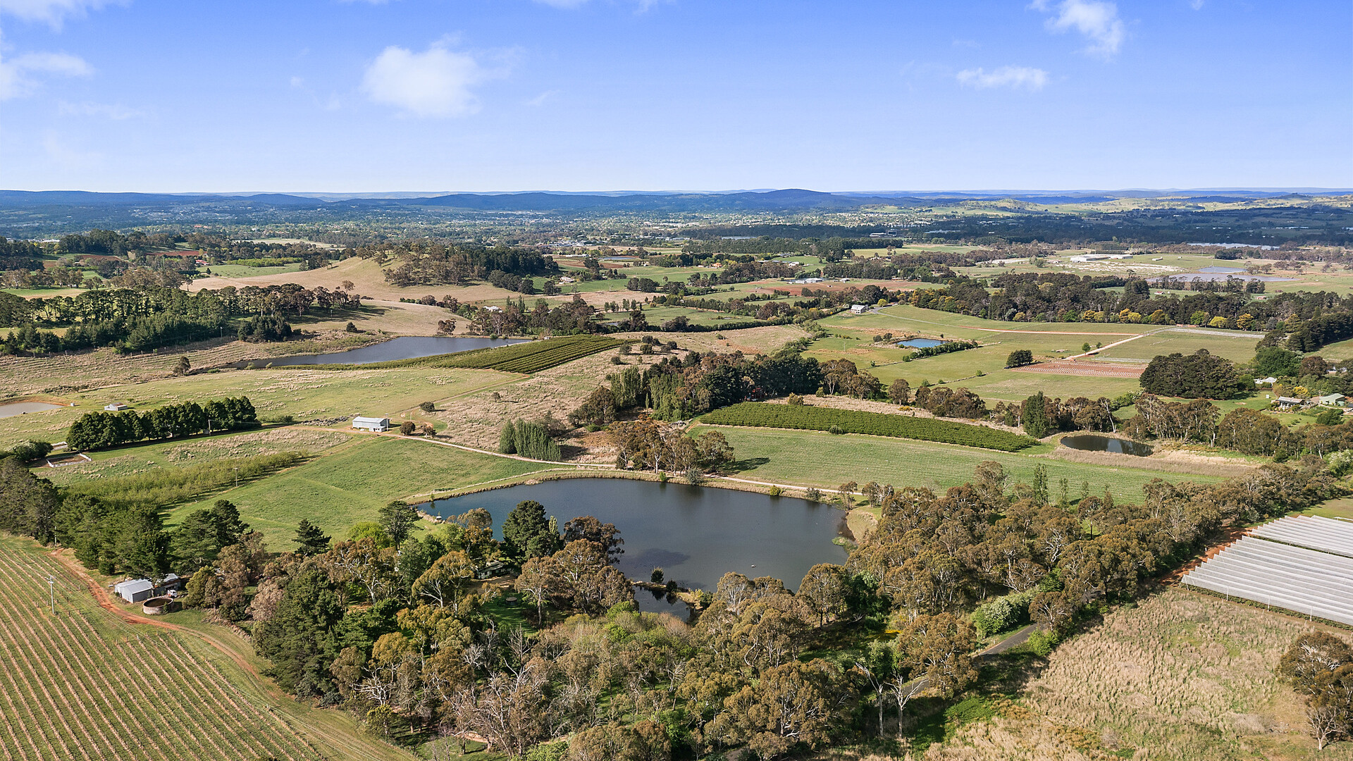 102 Wallace Lane, Orange NSW 2800 - photo 17
