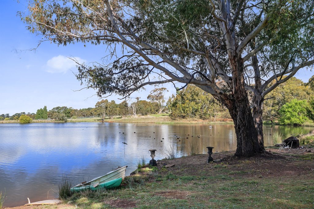 102 Wallace Lane, Orange NSW 2800 - photo 3