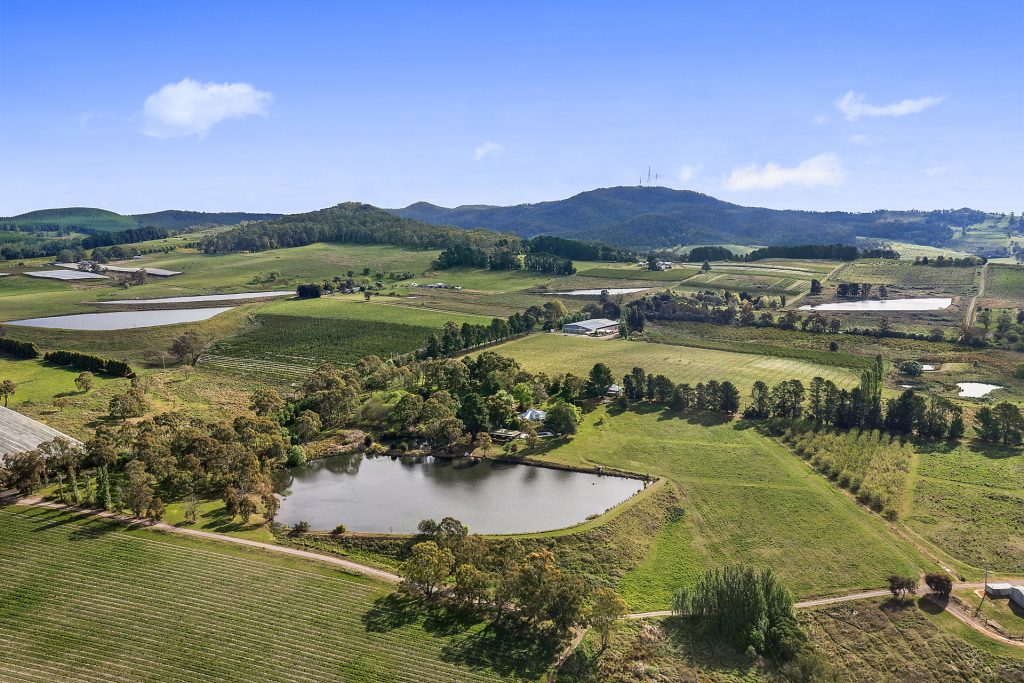 102 Wallace Lane, Orange NSW 2800 - photo 7
