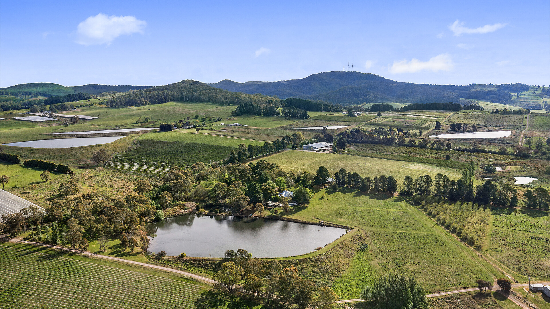 102 Wallace Lane, Orange NSW 2800 - photo 7