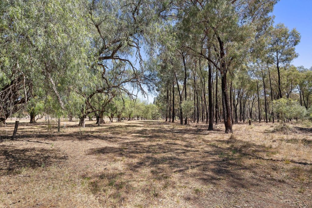 357L Obley Road, Dubbo NSW 2830 - photo 16