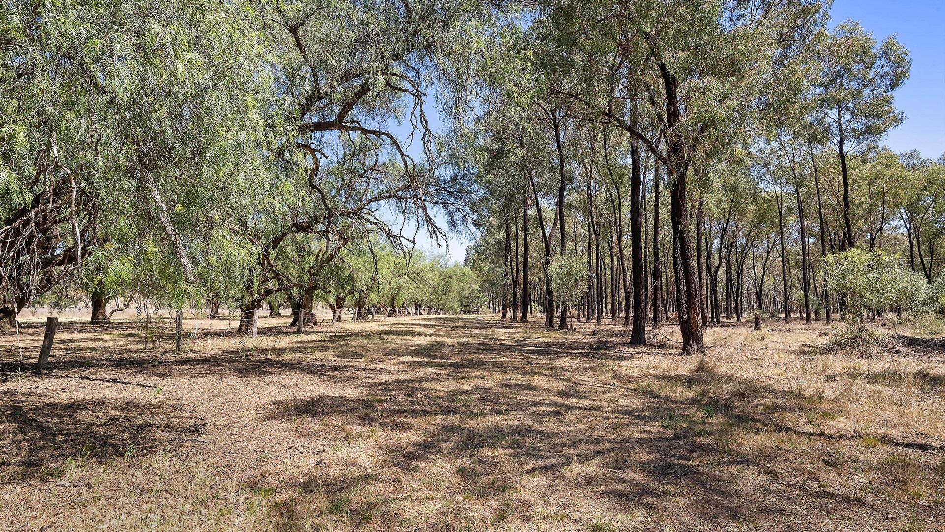 357L Obley Road, Dubbo NSW 2830 - photo 16
