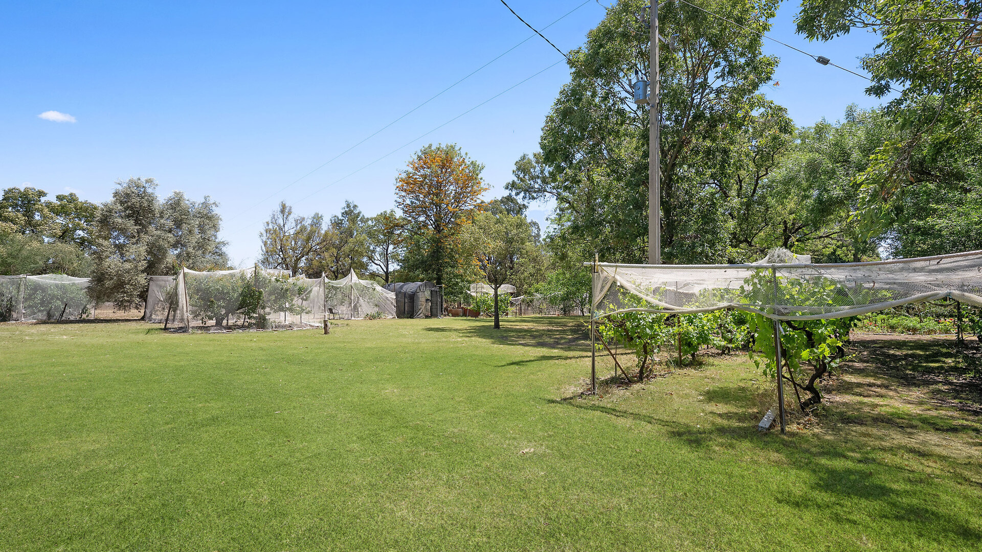 357L Obley Road, Dubbo NSW 2830 - photo 18