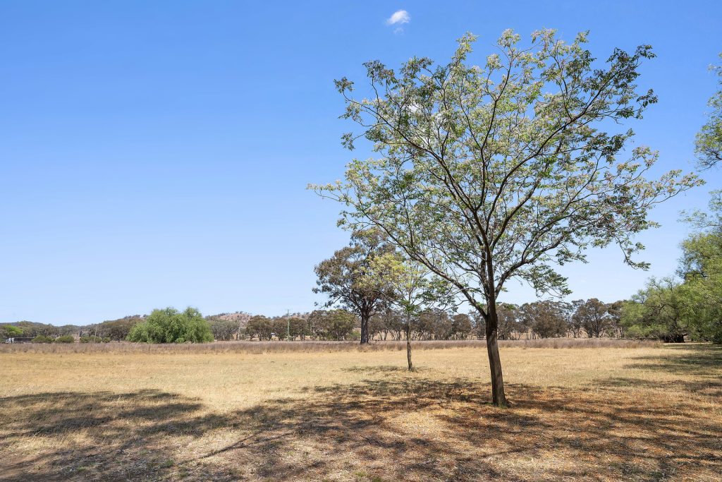 357L Obley Road, Dubbo NSW 2830 - photo 20
