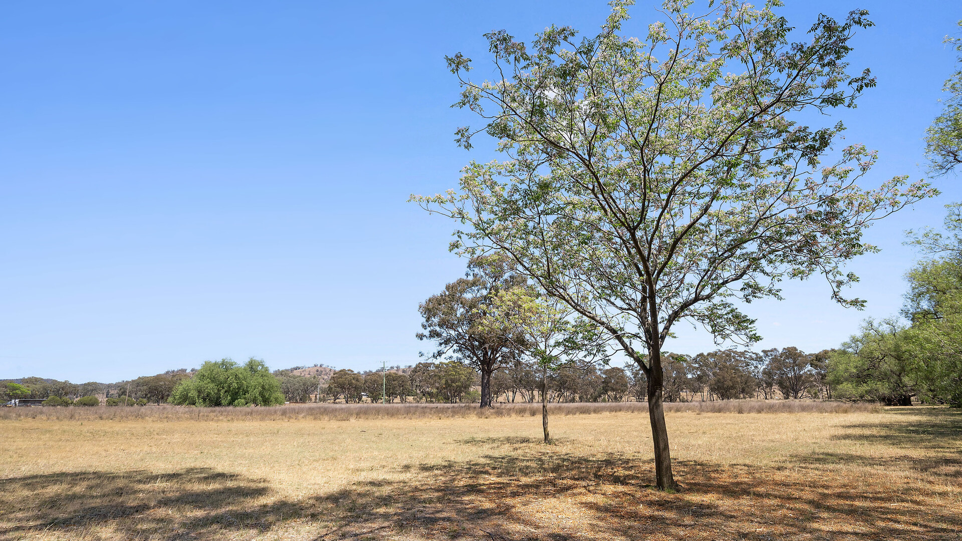 357L Obley Road, Dubbo NSW 2830 - photo 20