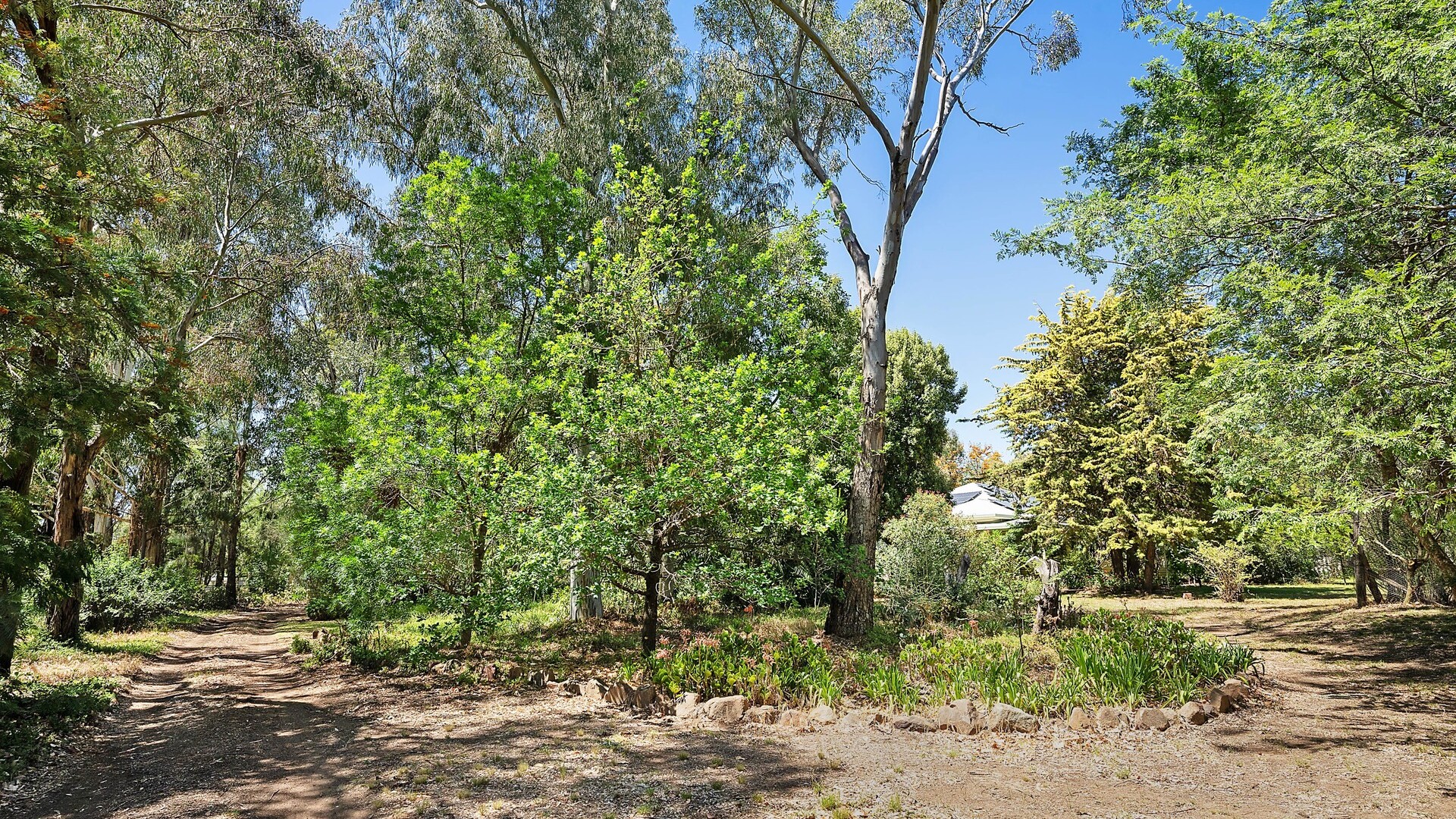357L Obley Road, Dubbo NSW 2830 - photo 3