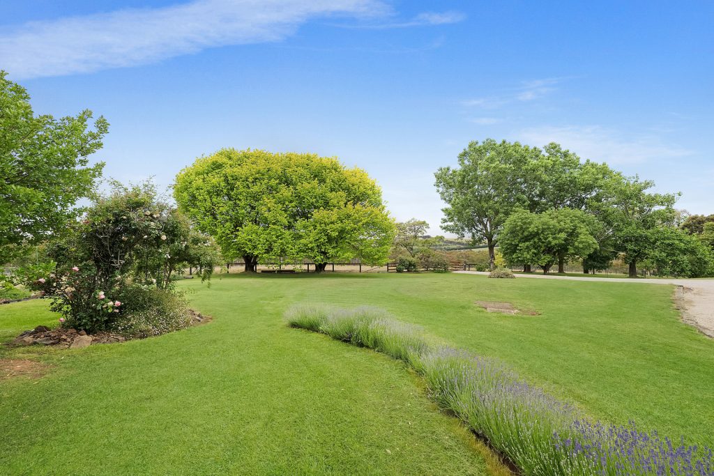 979 The Escort Way, Orange NSW 2800 - photo 31