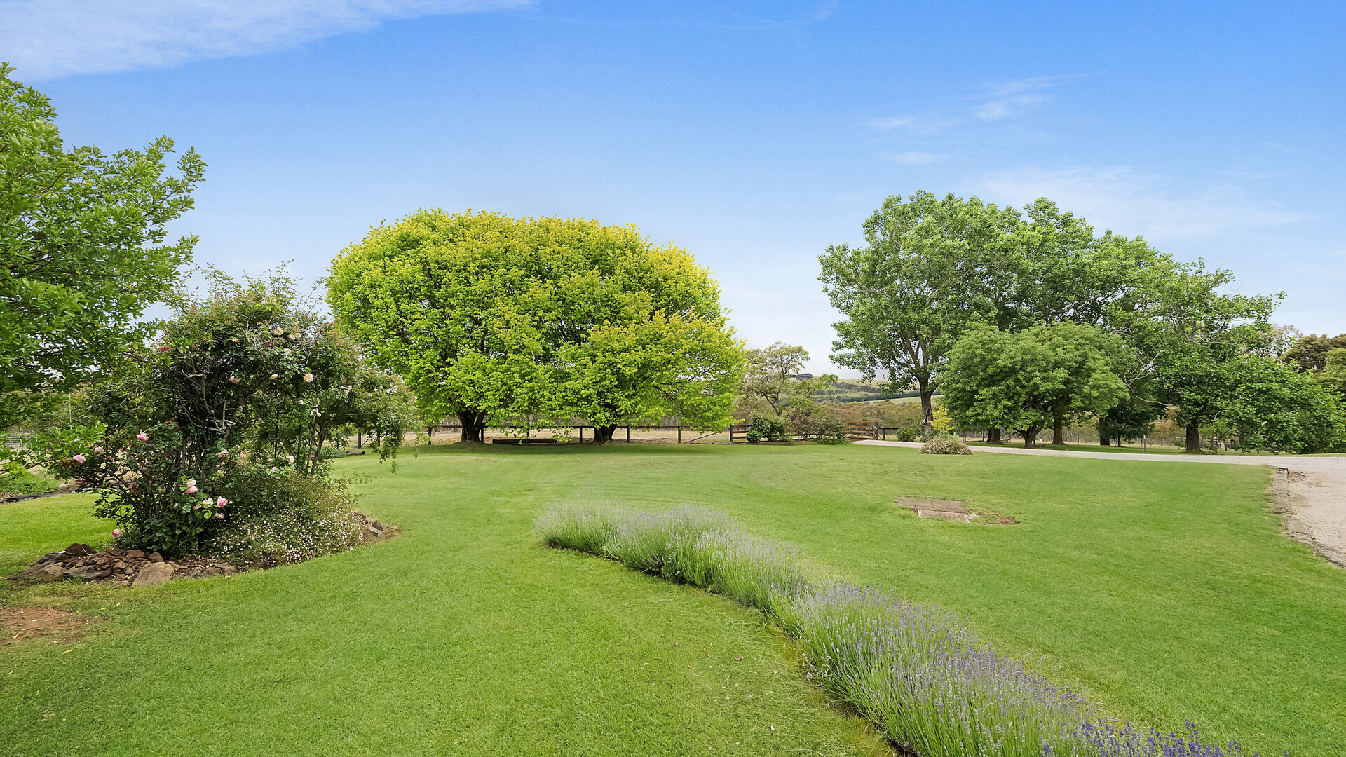 979 The Escort Way, Orange NSW 2800 - photo 31