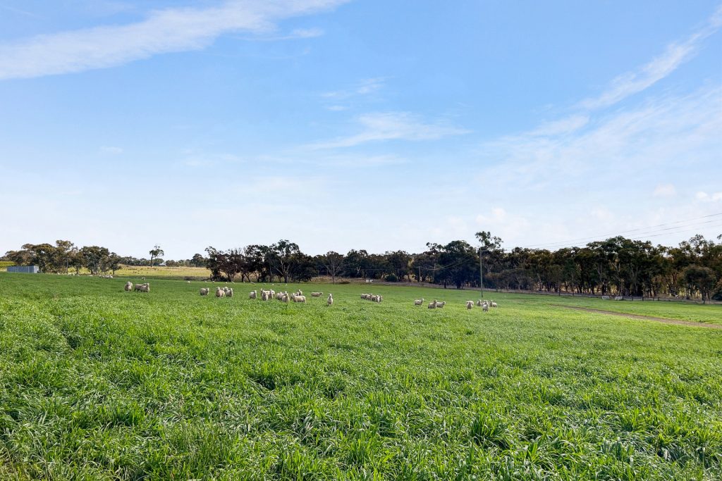 979 The Escort Way, Orange NSW 2800 - photo 7