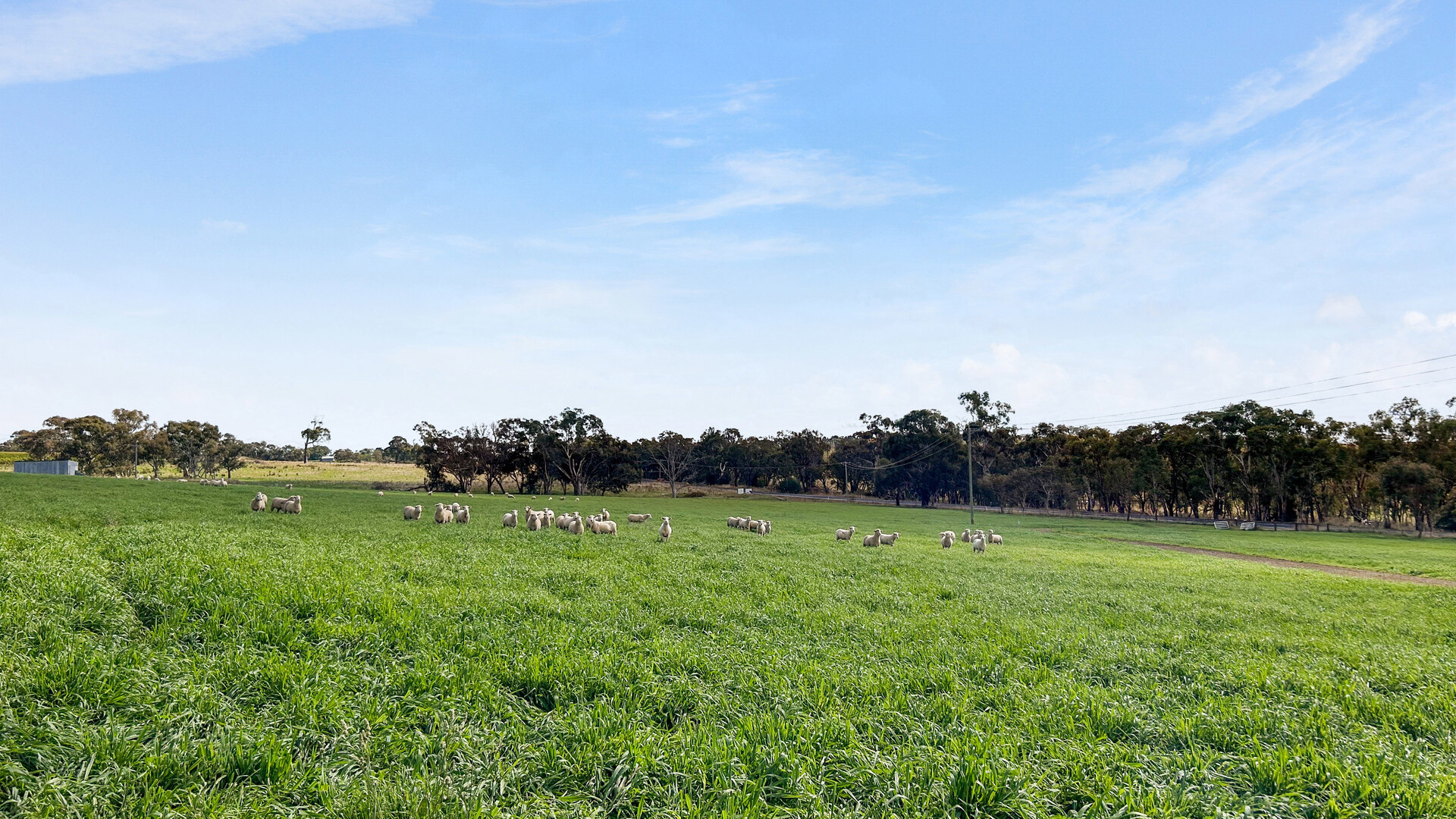 979 The Escort Way, Orange NSW 2800 - photo 7