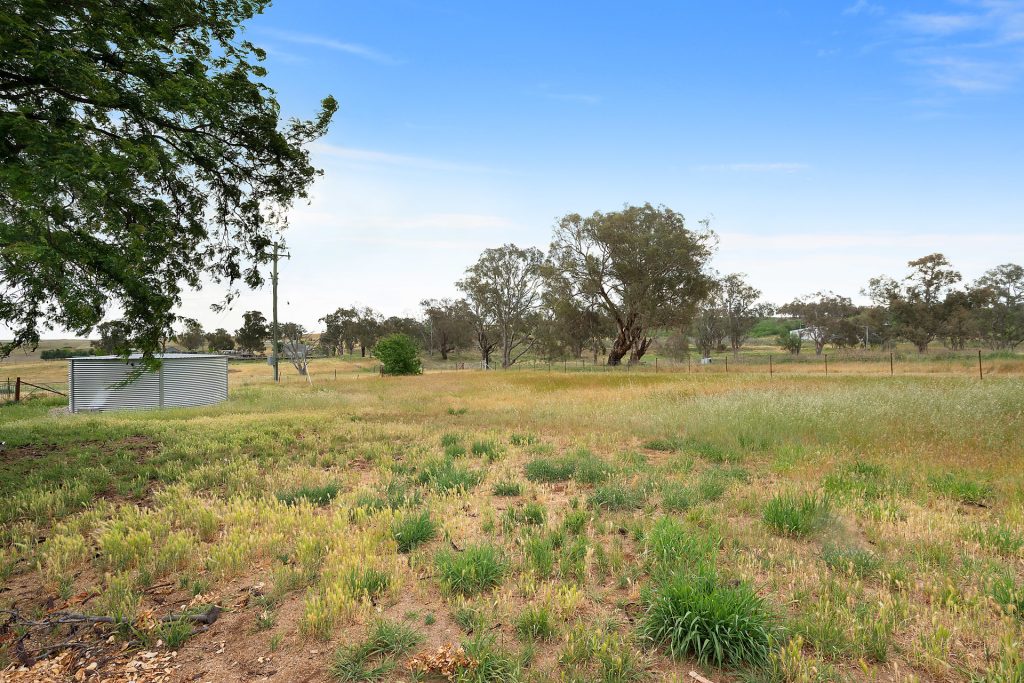 1146 Davys Plains Road, Cudal NSW 2864 - photo 11