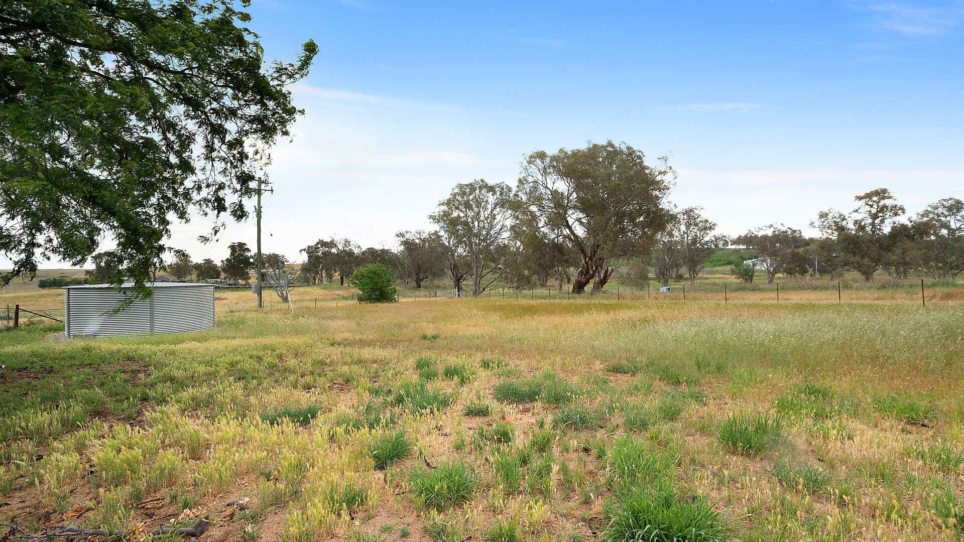 1146 Davys Plains Road, Cudal NSW 2864 - photo 11