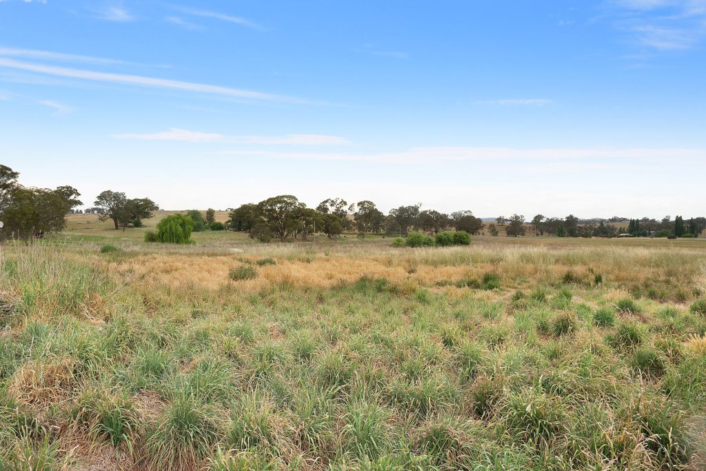 1146 Davys Plains Road, Cudal NSW 2864 - photo 12