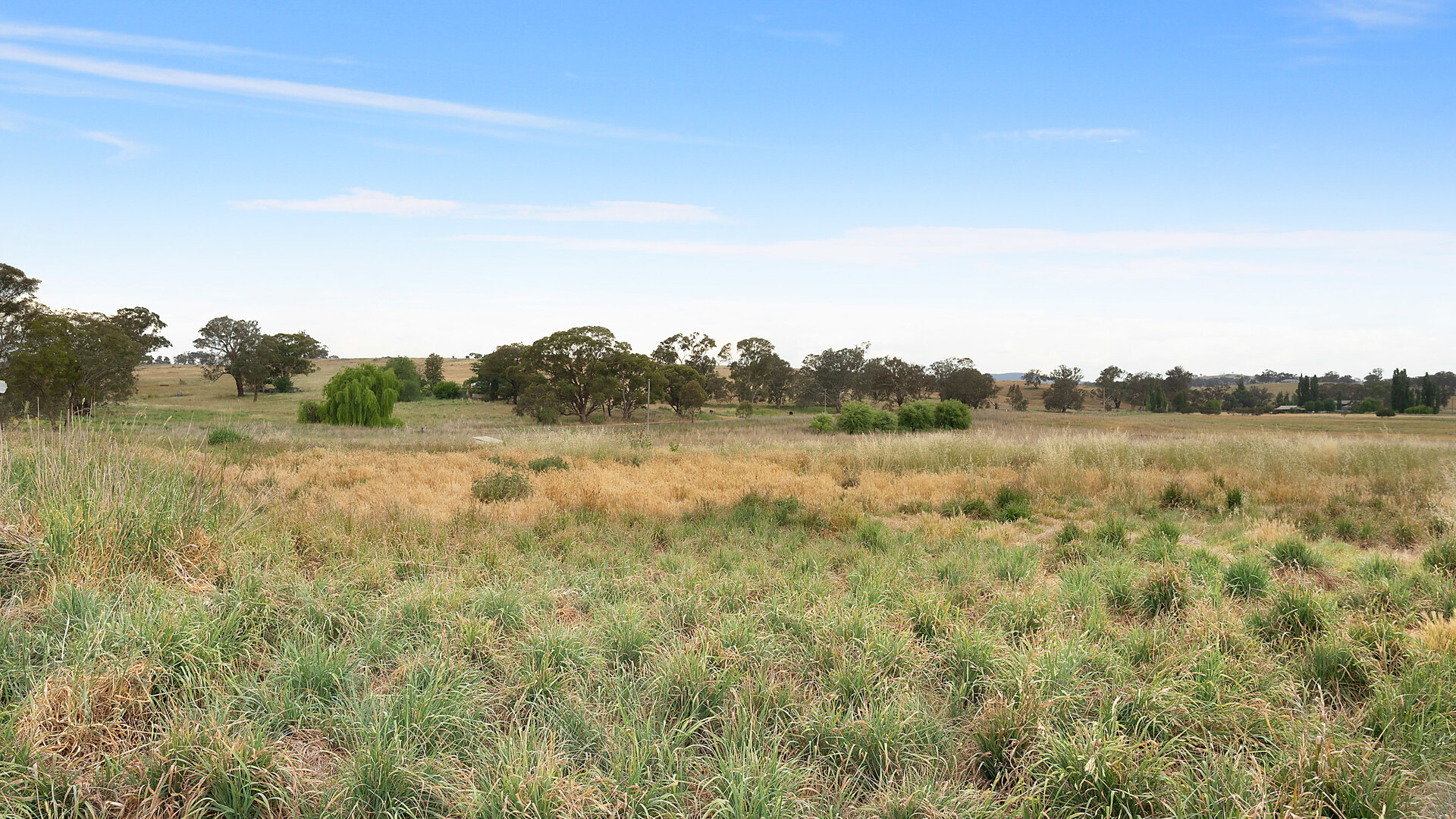 1146 Davys Plains Road, Cudal NSW 2864 - photo 12