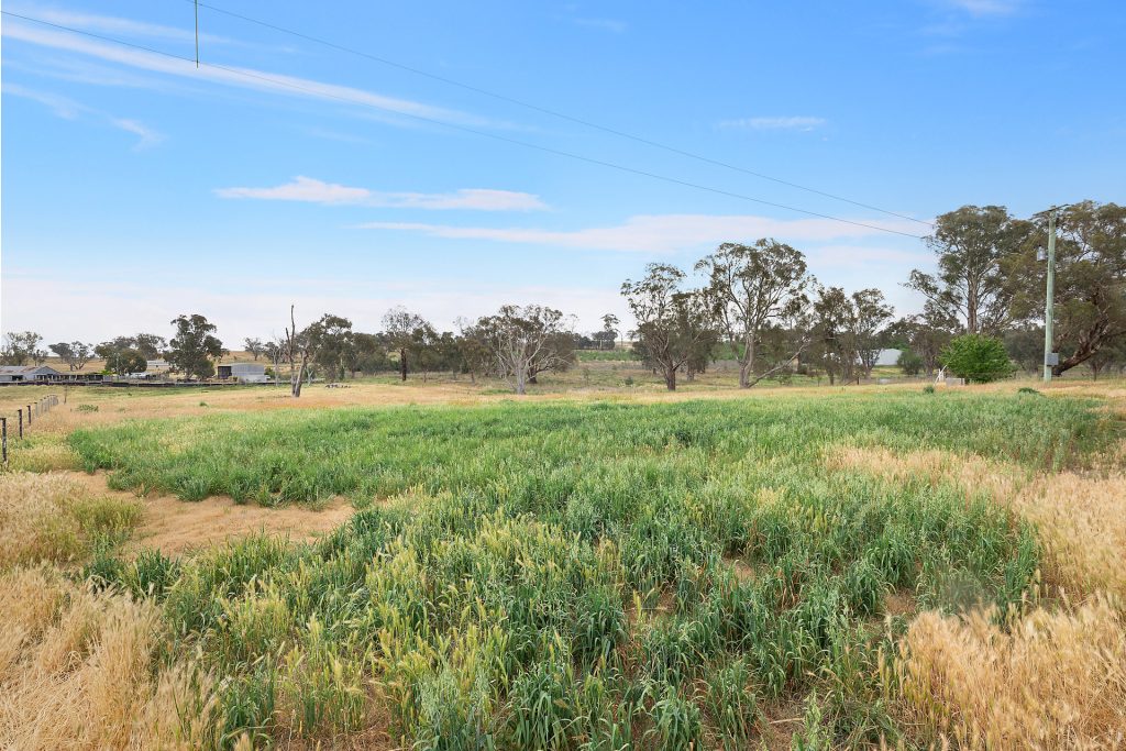 1146 Davys Plains Road, Cudal NSW 2864 - photo 8