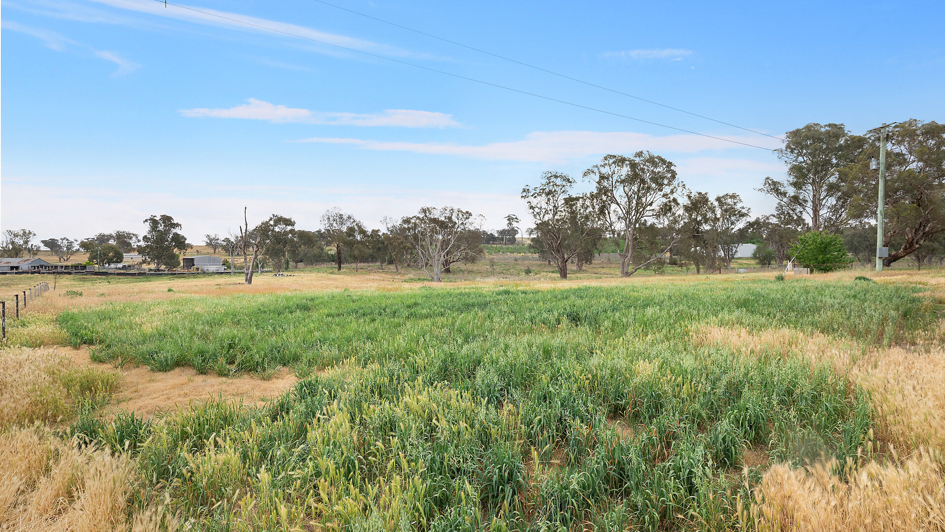 1146 Davys Plains Road, Cudal NSW 2864 - photo 8