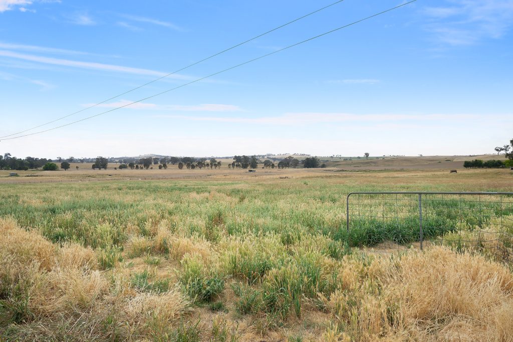 1146 Davys Plains Road, Cudal NSW 2864 - photo 9