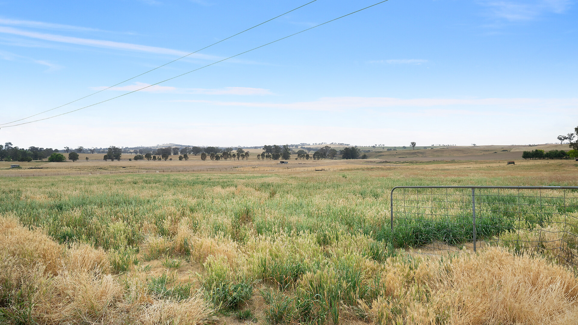 1146 Davys Plains Road, Cudal NSW 2864 - photo 9