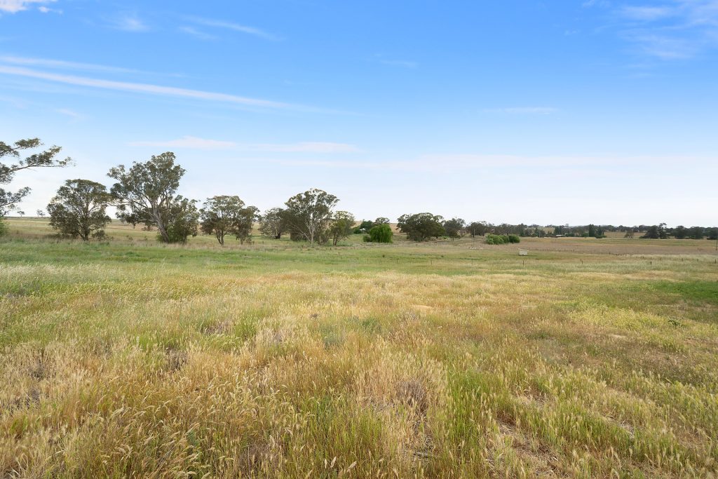 1146 Davys Plains Road, Cudal NSW 2864 - photo 10