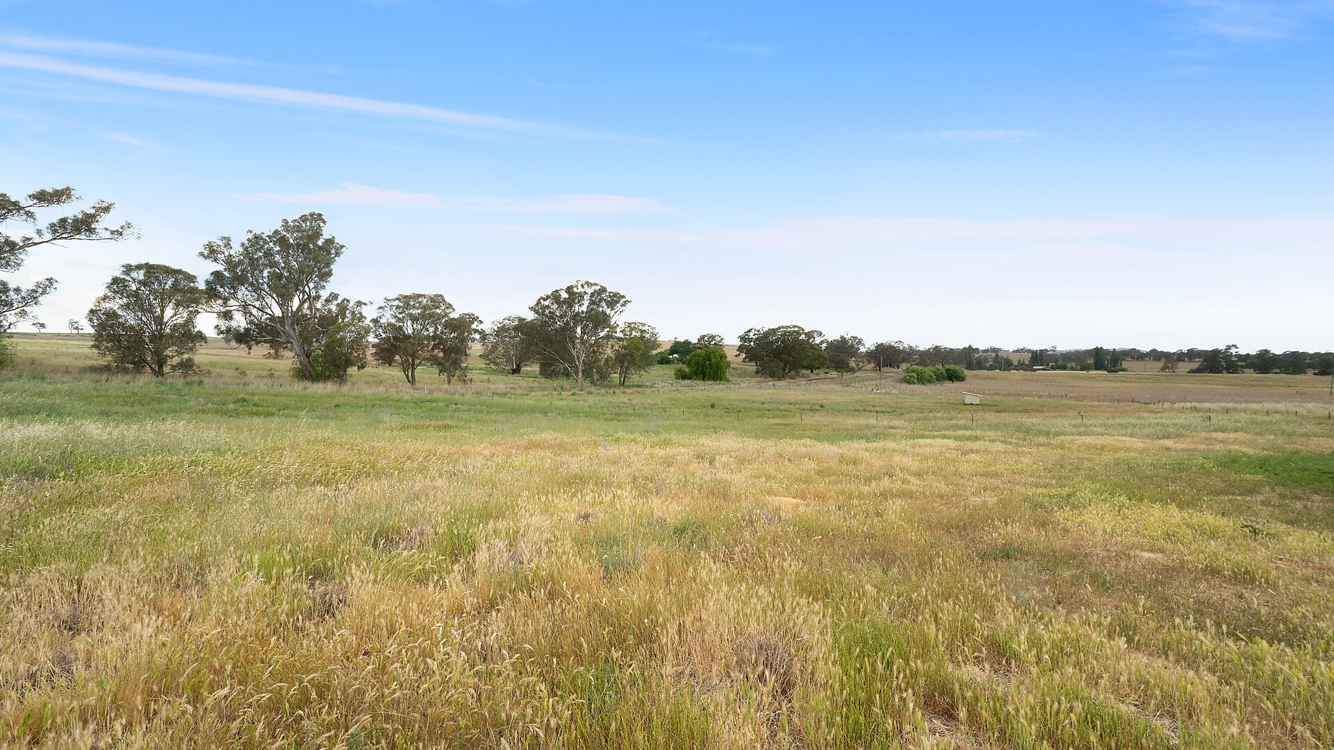 1146 Davys Plains Road, Cudal NSW 2864 - photo 10