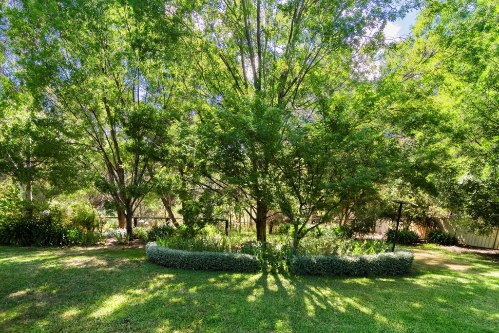 24 Redgum Avenue, Orange NSW 2800 - photo 11