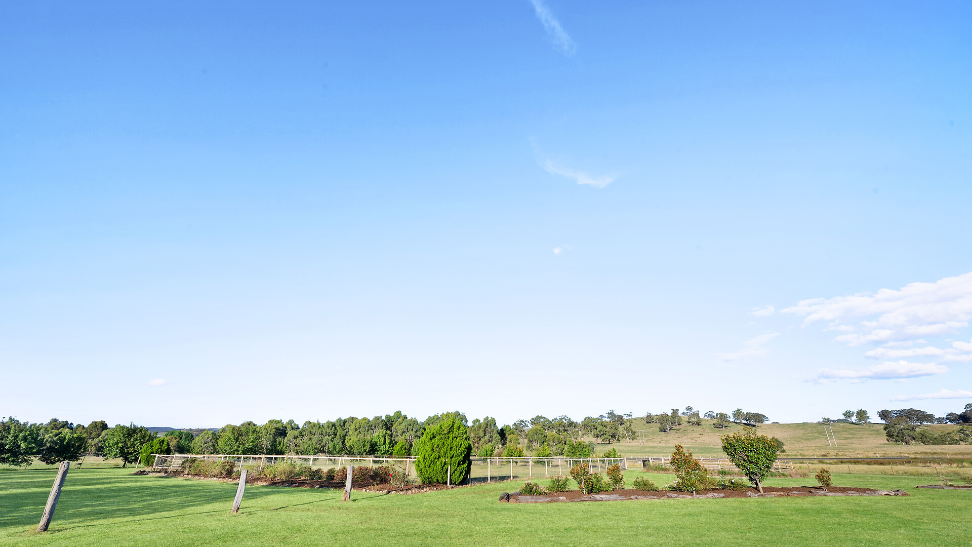 18 Priest Lane, Orange NSW 2800 - photo 20