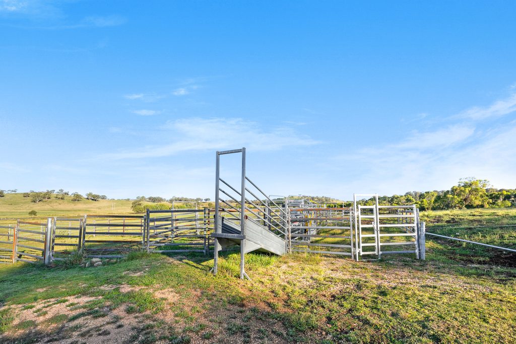 18 Priest Lane, Orange NSW 2800 - photo 26