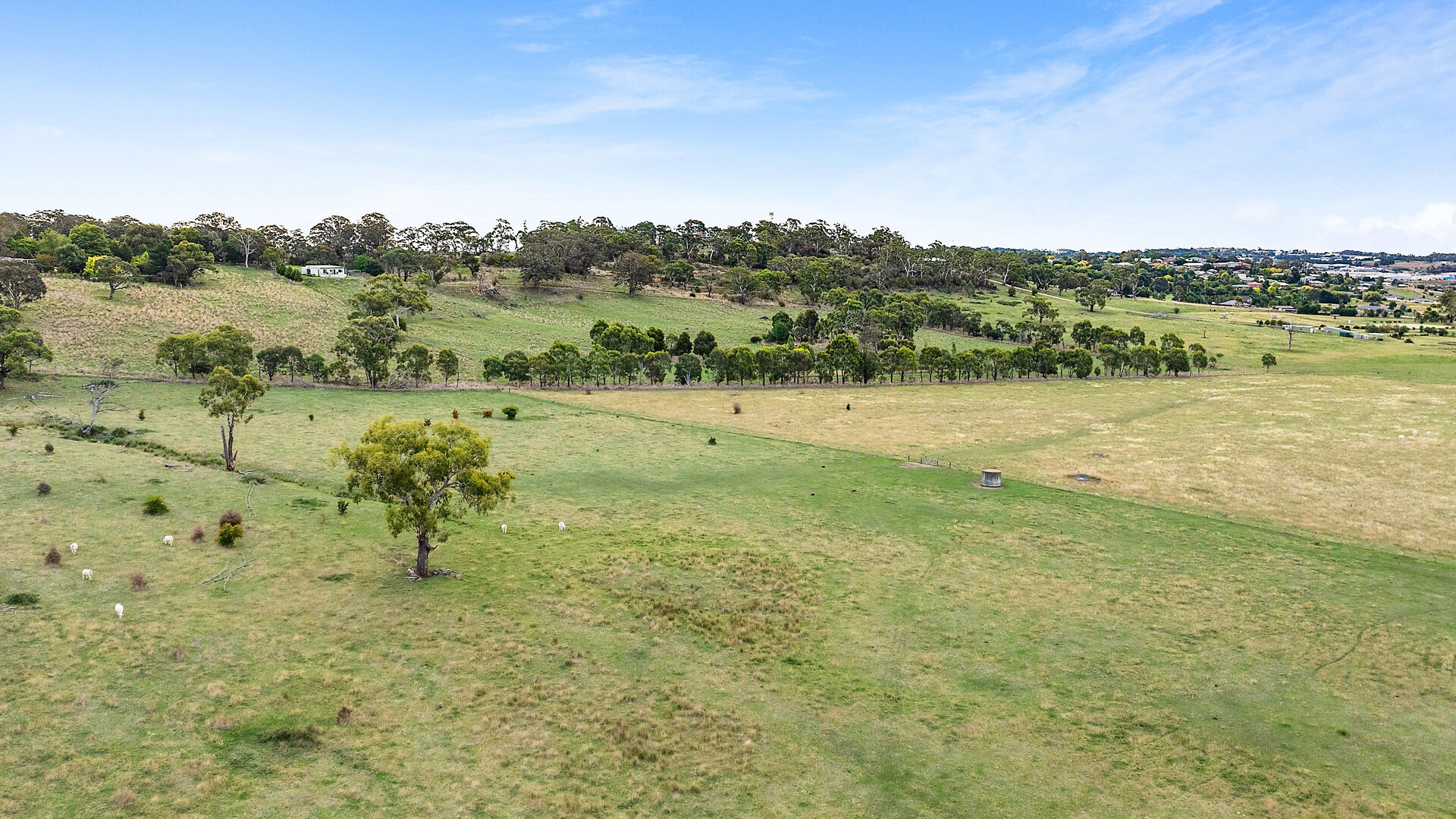 18 Priest Lane, Orange NSW 2800 - photo 31