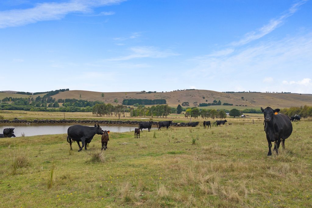 92 Hills Lane, Blayney NSW 2799 - photo 2