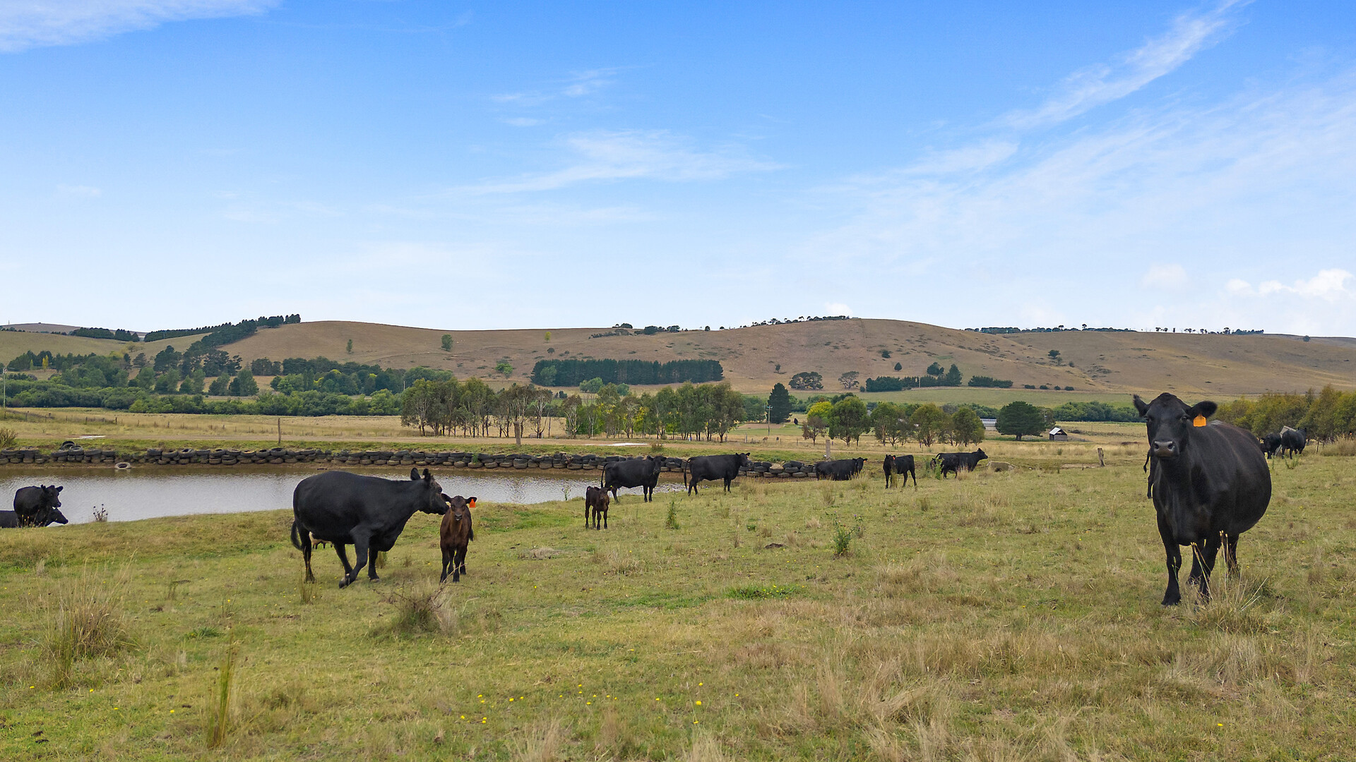 92 Hills Lane, Blayney NSW 2799 - photo 2