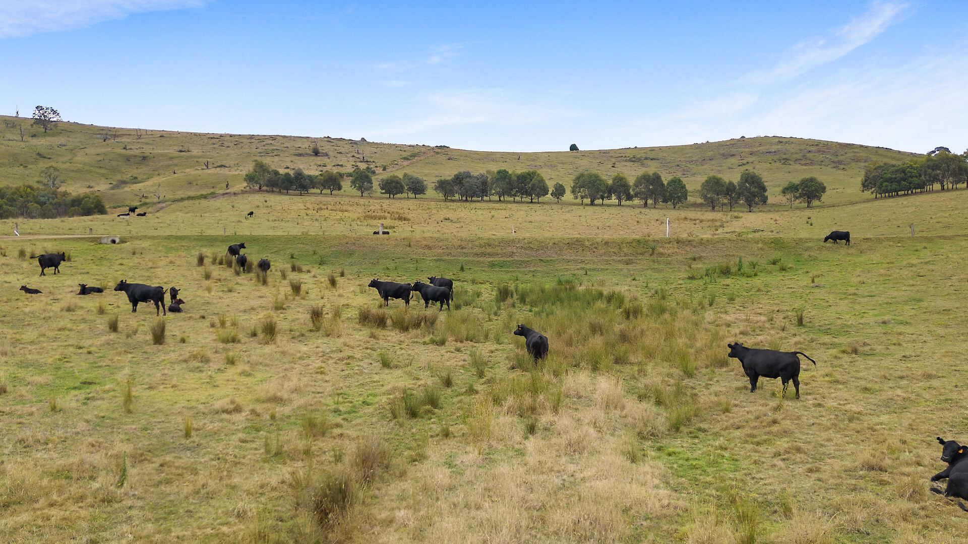 92 Hills Lane, Blayney NSW 2799 - photo 20