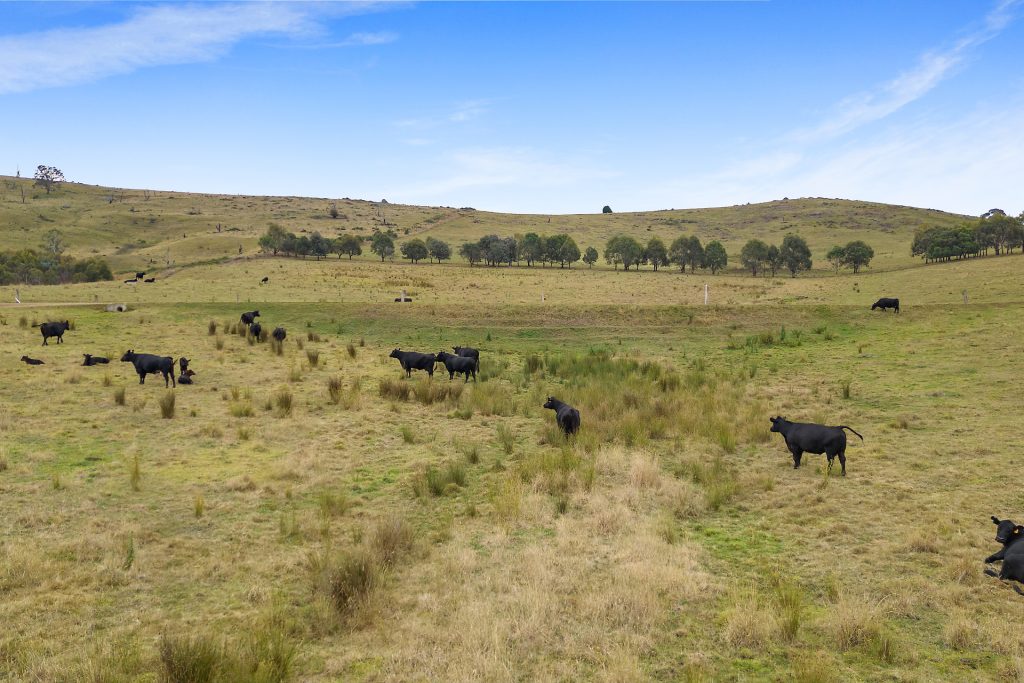 92 Hills Lane, Blayney NSW 2799 - photo 25