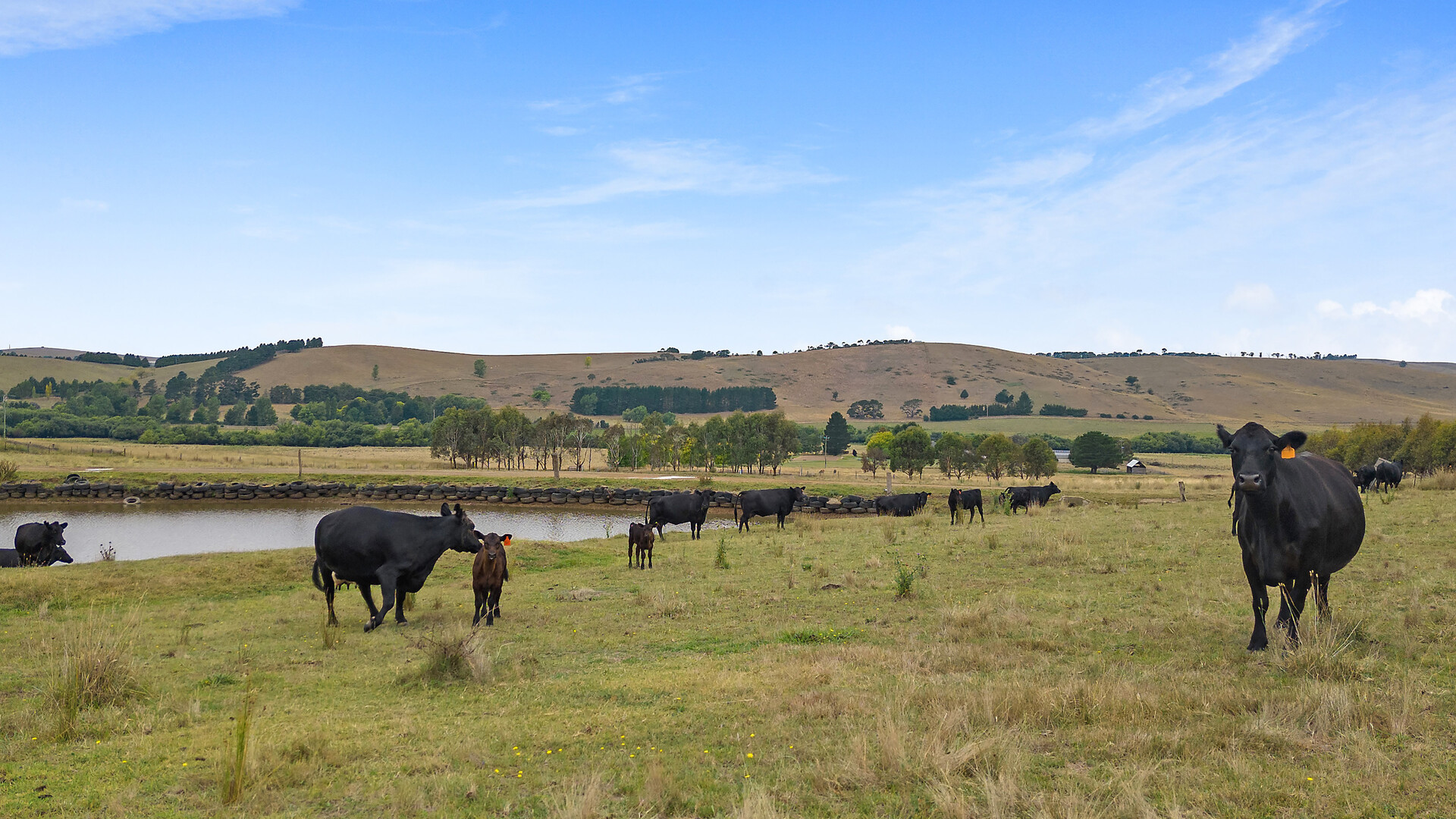 92 Hills Lane, Blayney NSW 2799 - photo 26