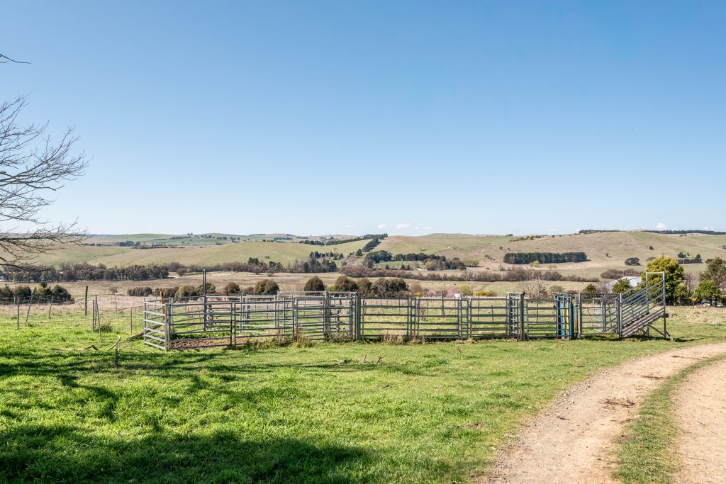 92 Hills Lane, Blayney NSW 2799 - photo 31