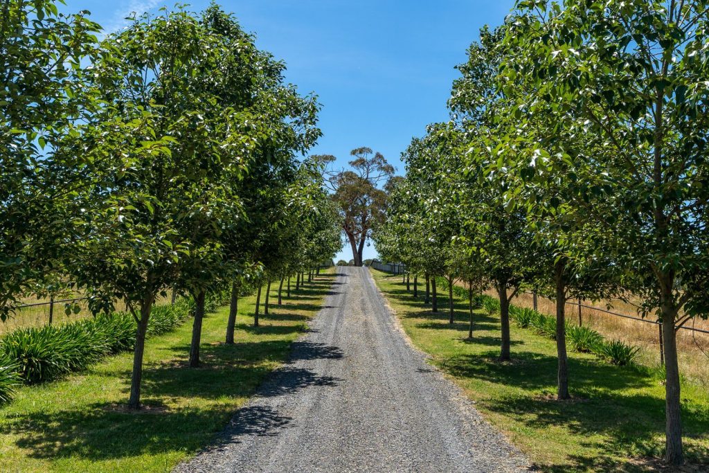 466 Bevan Road, Mullion Creek NSW 2800 - photo 2
