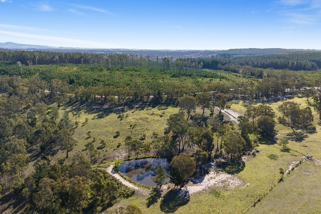466 Bevan Road, Mullion Creek NSW 2800 - photo 27