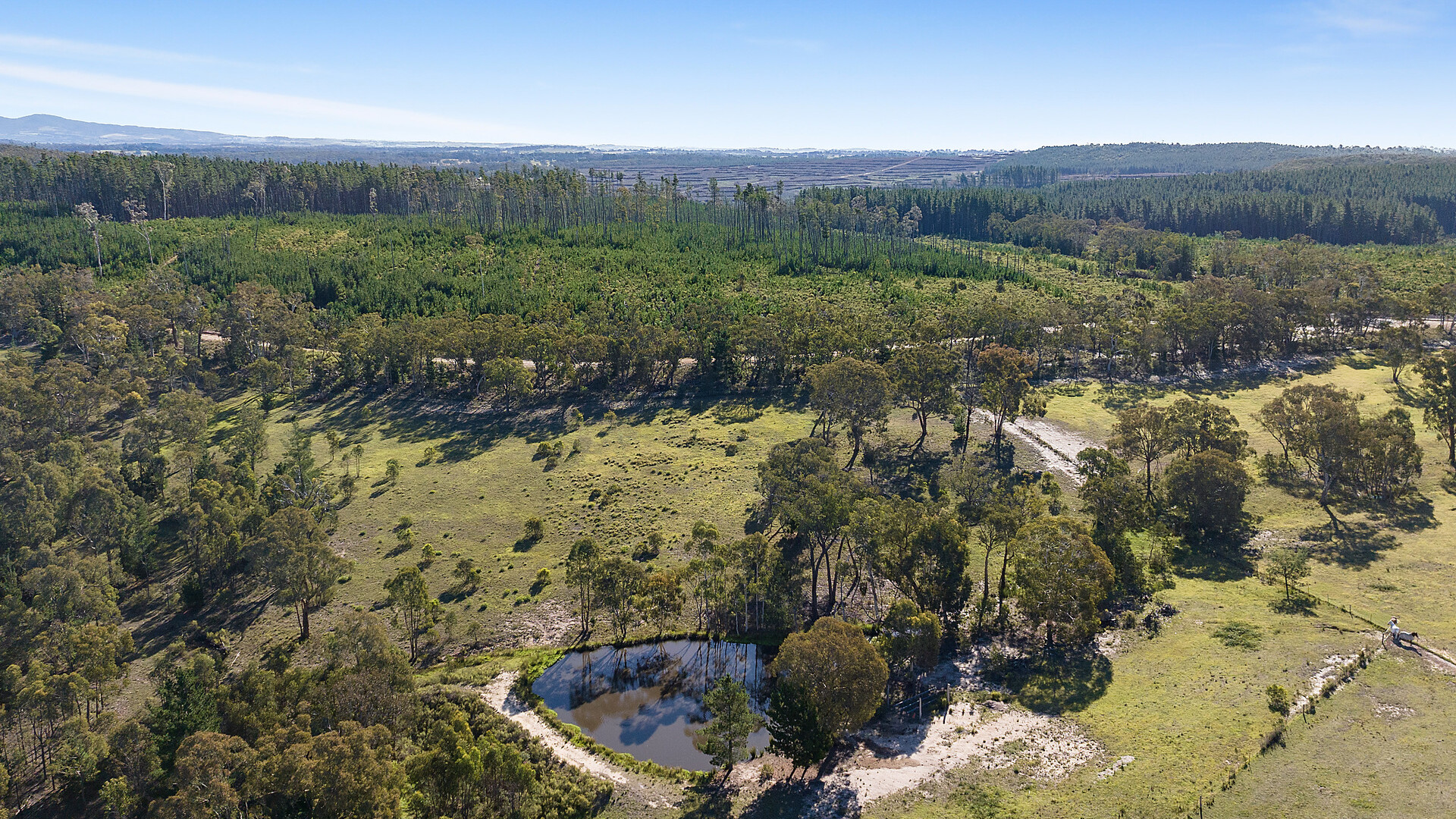 466 Bevan Road, Mullion Creek NSW 2800 - photo 27