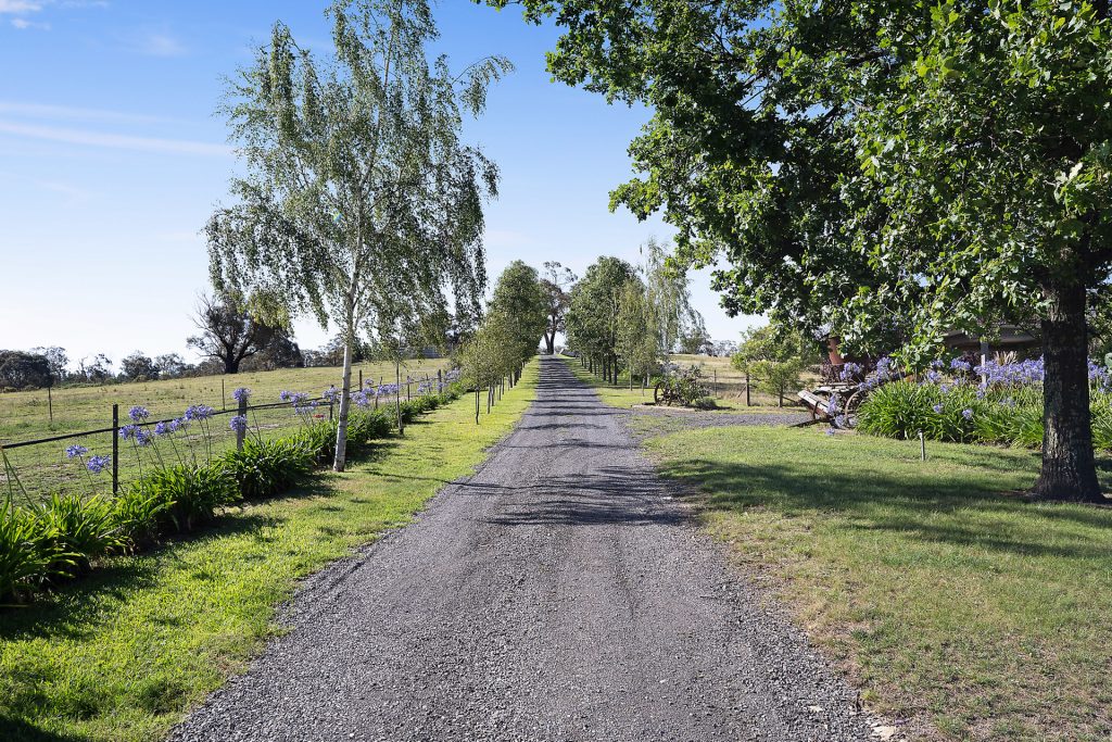 466 Bevan Road, Mullion Creek NSW 2800 - photo 30
