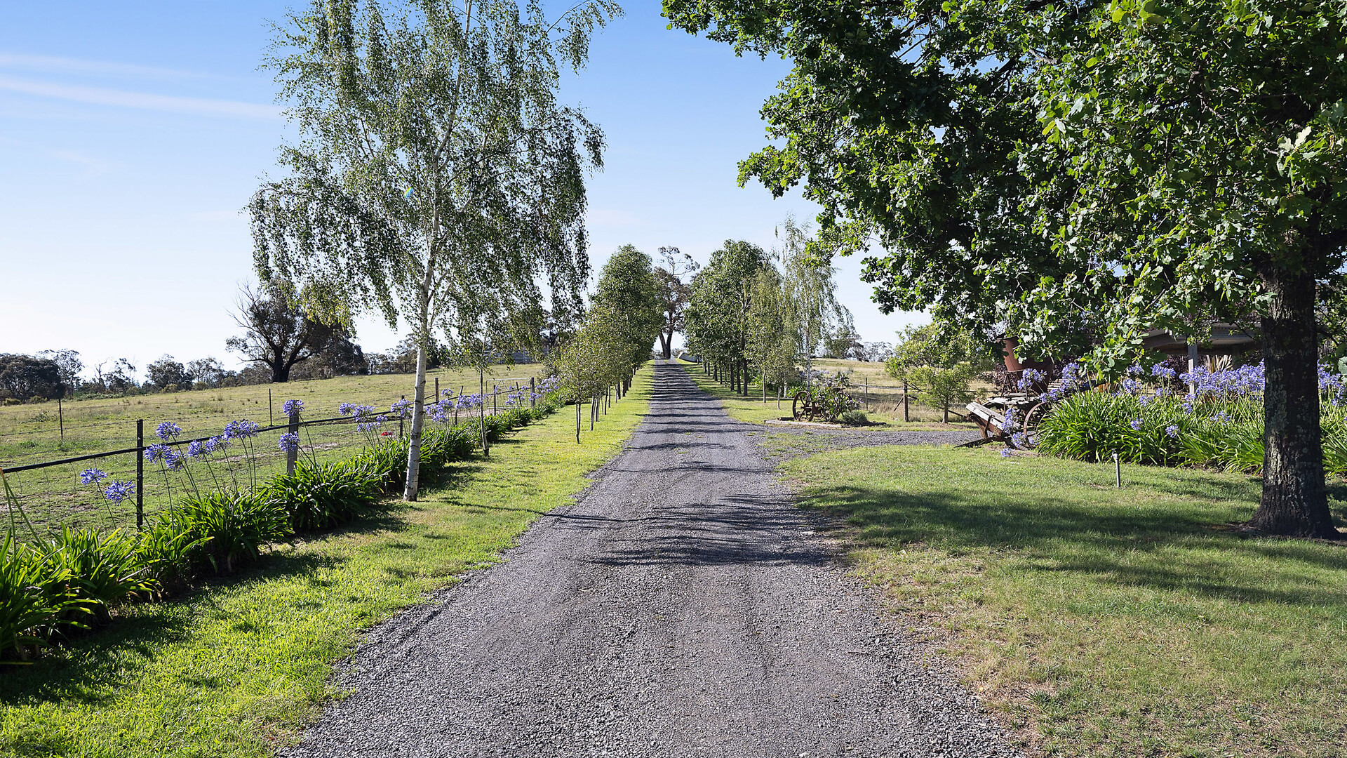 466 Bevan Road, Mullion Creek NSW 2800 - photo 30
